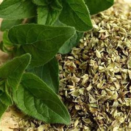 Marjoram Spice Seasoning Herb Natural Herb Food Etsy
