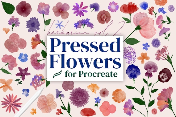 Pressed Flower Procreate Brushes: 200+ Dynamic Stamps, Herbarium Vol 2 (Digital Art Kit)