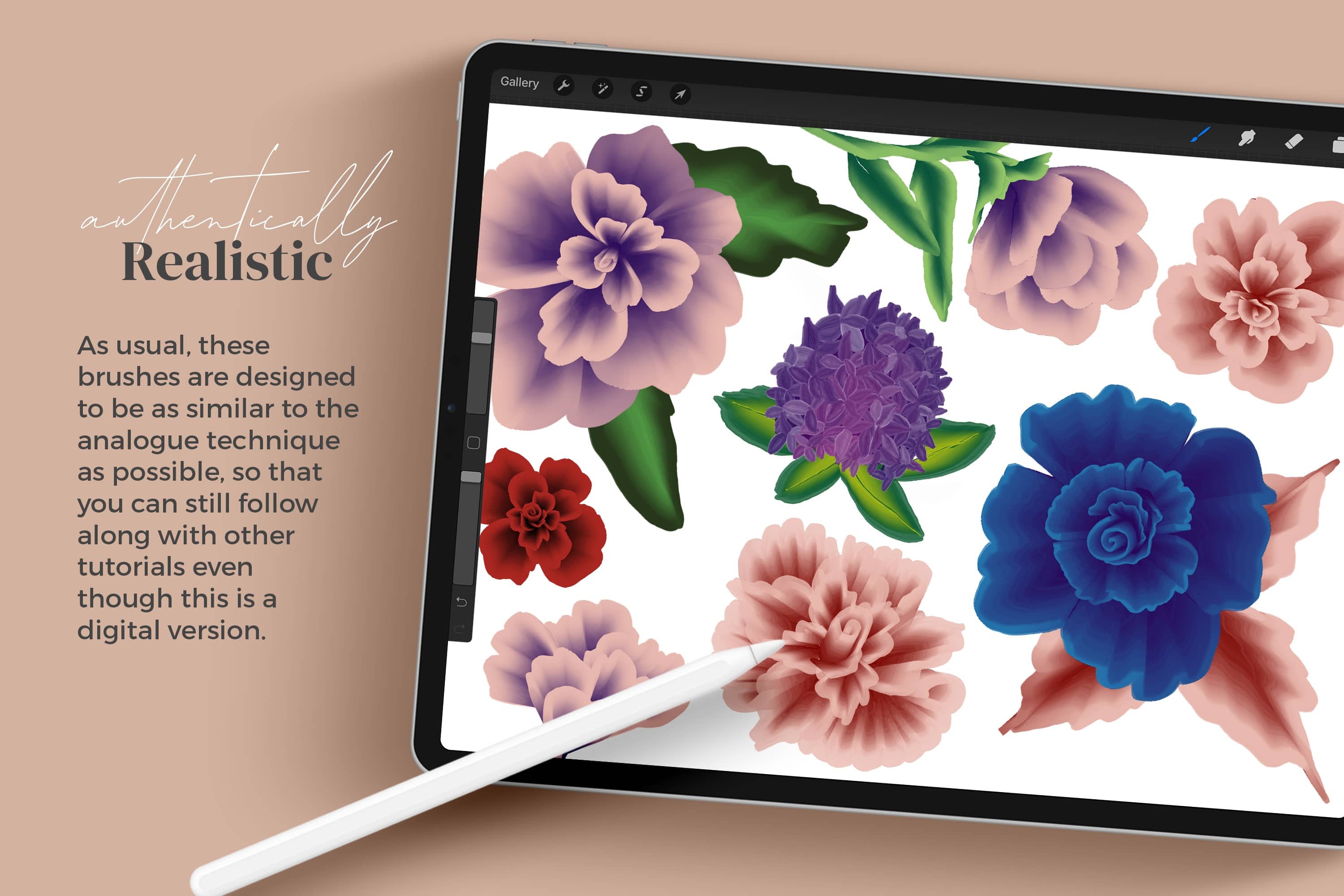 Dual Color Brushes for Procreate Digital One Stroke Painting - Etsy