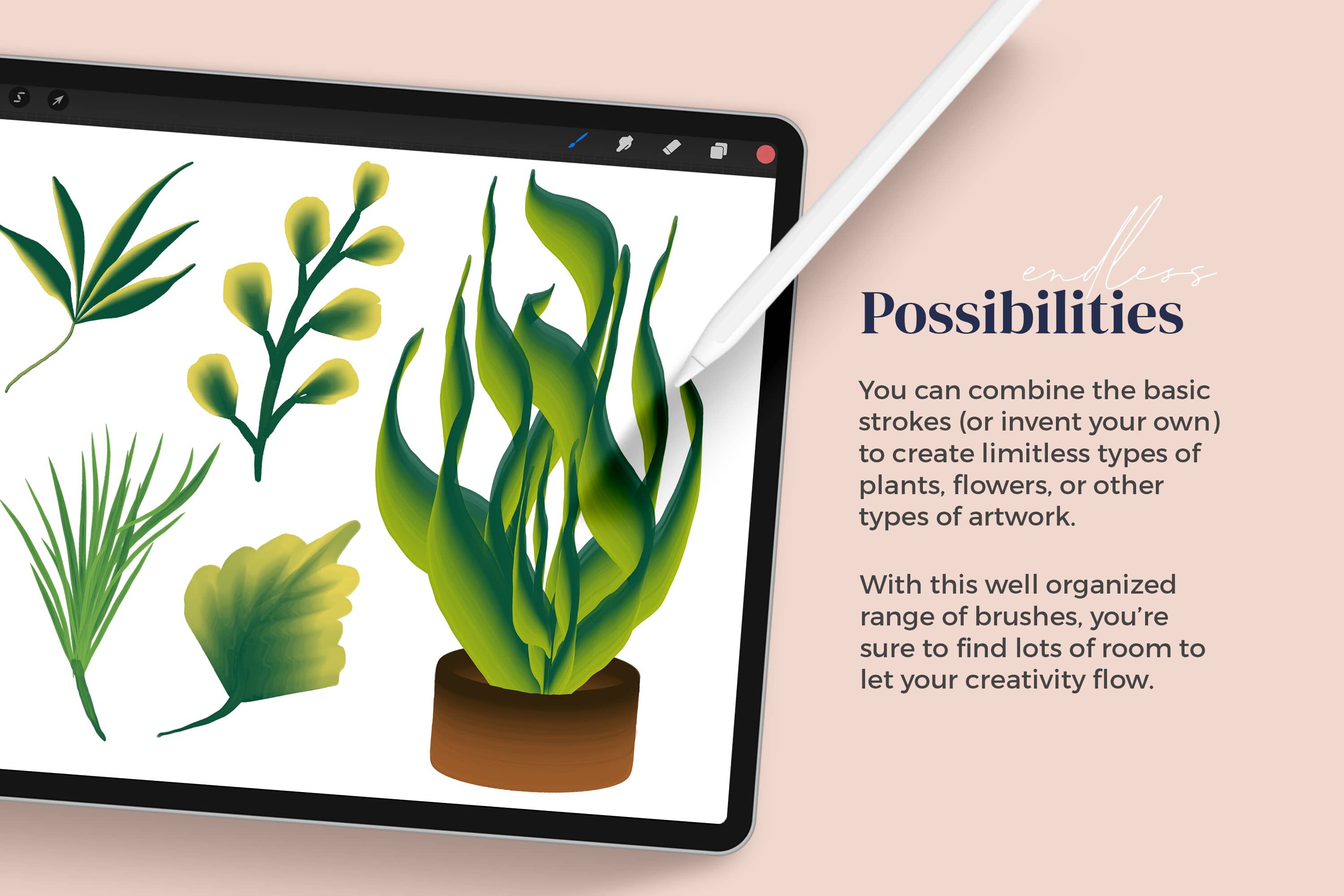 Dual Color Brushes for Procreate Digital One Stroke Painting - Etsy