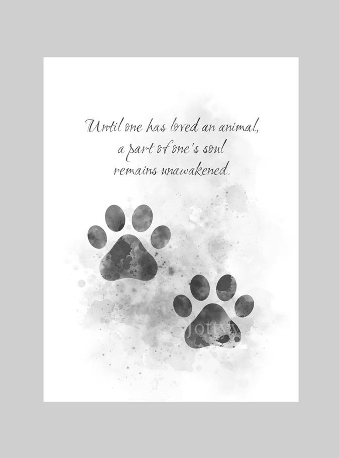 Paw Prints Animal Quote ART PRINT Cat, Dog, Pet, Love, Inspirational, Gift,  Wall Art, Home Decor, Bedroom, Office, Black and White - Etsy, image size:1080x1458