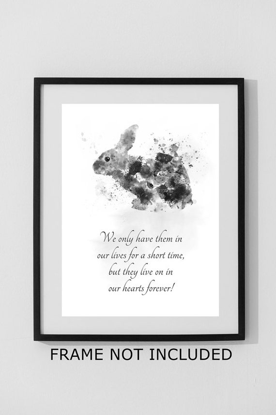 Rip Rabbit Quotes