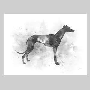 Greyhound ART PRINT hond, dier, cadeau, kunst aan de muur, woondecoratie, zwart-wit