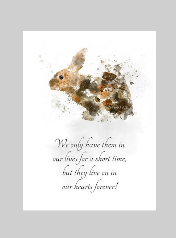 Rabbit Bunny Memorial Sympathy Quote ART PRINT Animal Pet - Etsy Rabbit Bunny Memorial Sympathy Quote ART PRINT Animal Pet - Etsy