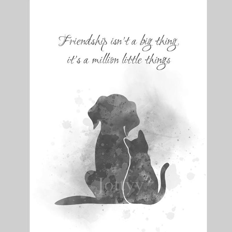 What is That Thing Called When a White Circle Grows on a Black Screen