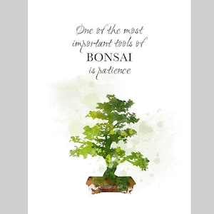 Bonsai Tree Quote ART PRINT Een van de belangrijkste gereedschappen van bonsai is geduld, inspirerend, cadeau, kunst aan de muur, woondecoratie