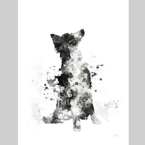 Border Collie ART PRINT Dog, Animal, Gift, Wall Art, Home Decor