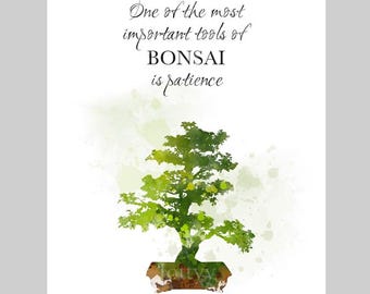Bonsai Tree ART PRINT Inspirational Quote, One of the most important tools of Bonsai is patience, Gift Idea