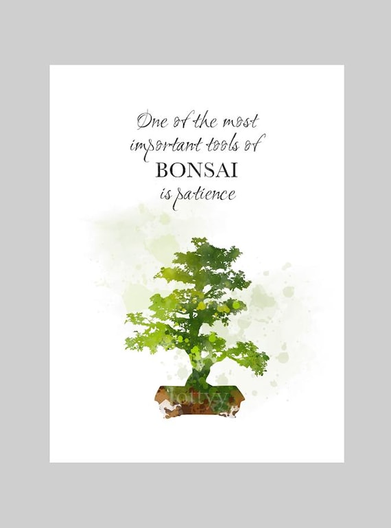 Bonsai Tree ART PRINT Inspirational Quote, One of the most important tools  of Bonsai is patience, Gift Idea