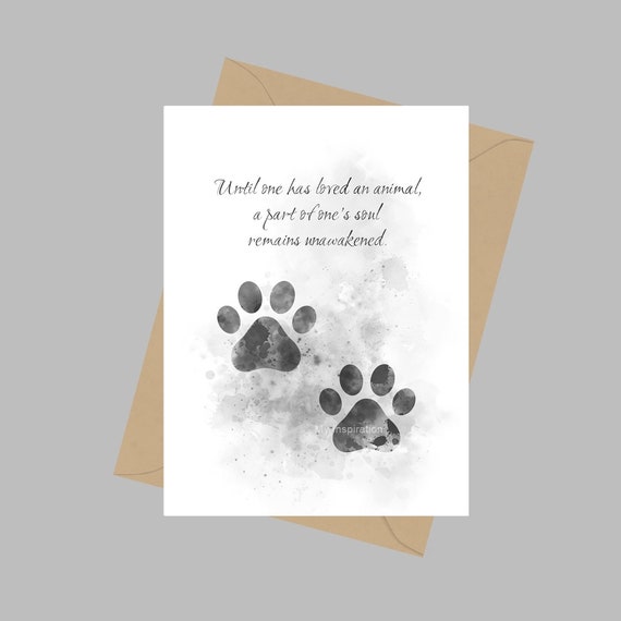 Paw Prints Under Stars | Greeting Card Paw Prints Under Stars | Greeting Card