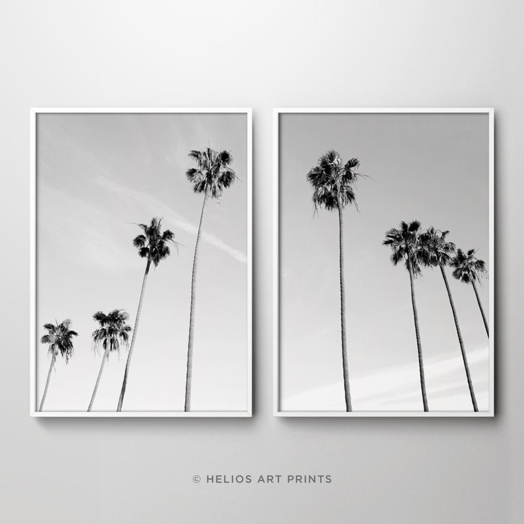 Set of Two Black and White Palm Trees Minimalist Wall Art. Set of 2 ...