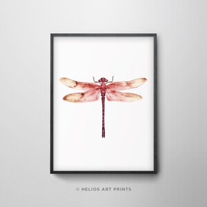 May include: A watercolour painting of a red dragonfly with brown wings on a white background.