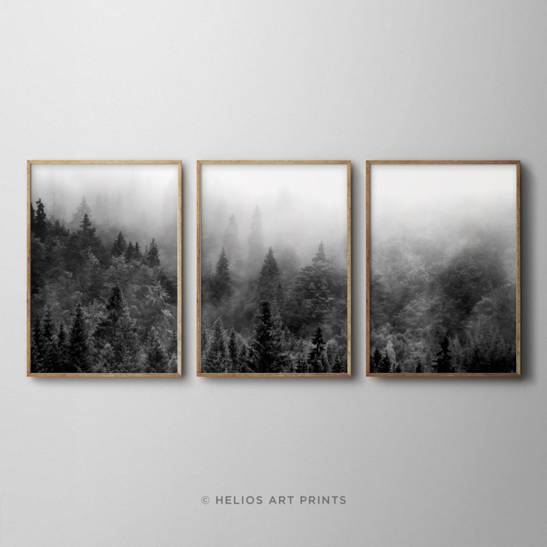 Set of Three Black and White Misty Forest Landscape Art Prints. Set of ...