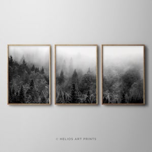Set of three black and white misty forest landscape art prints. Set of 3 alpine forest wall art. Foggy pine forest downloadable print