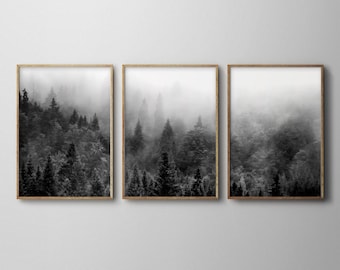 May include: A set of three black and white framed prints featuring a misty forest scene. The prints are arranged horizontally and feature a variety of trees and foliage.