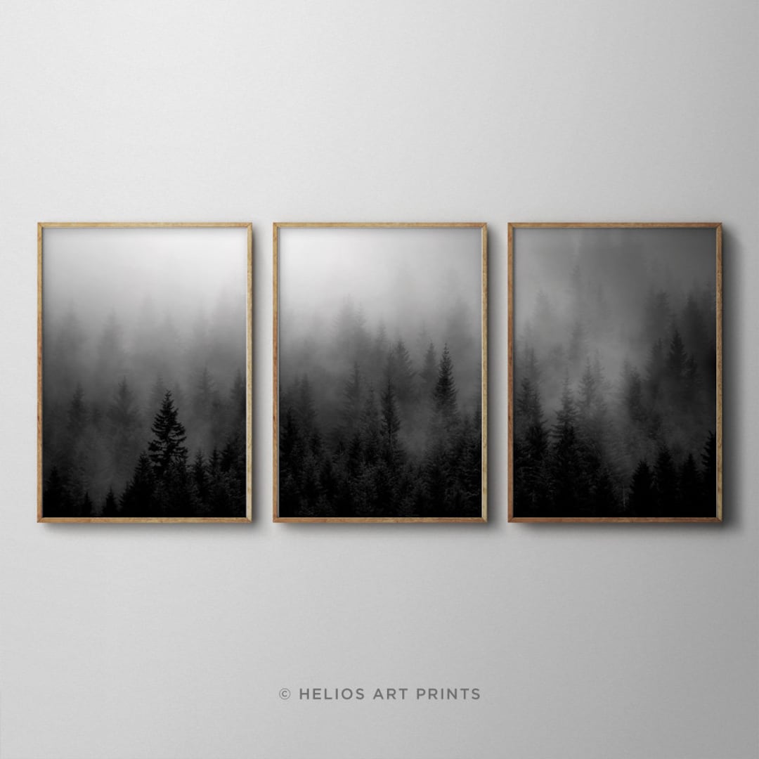 Set of Three Black and White Misty Forest Wall Art Prints, Set of 3 ...