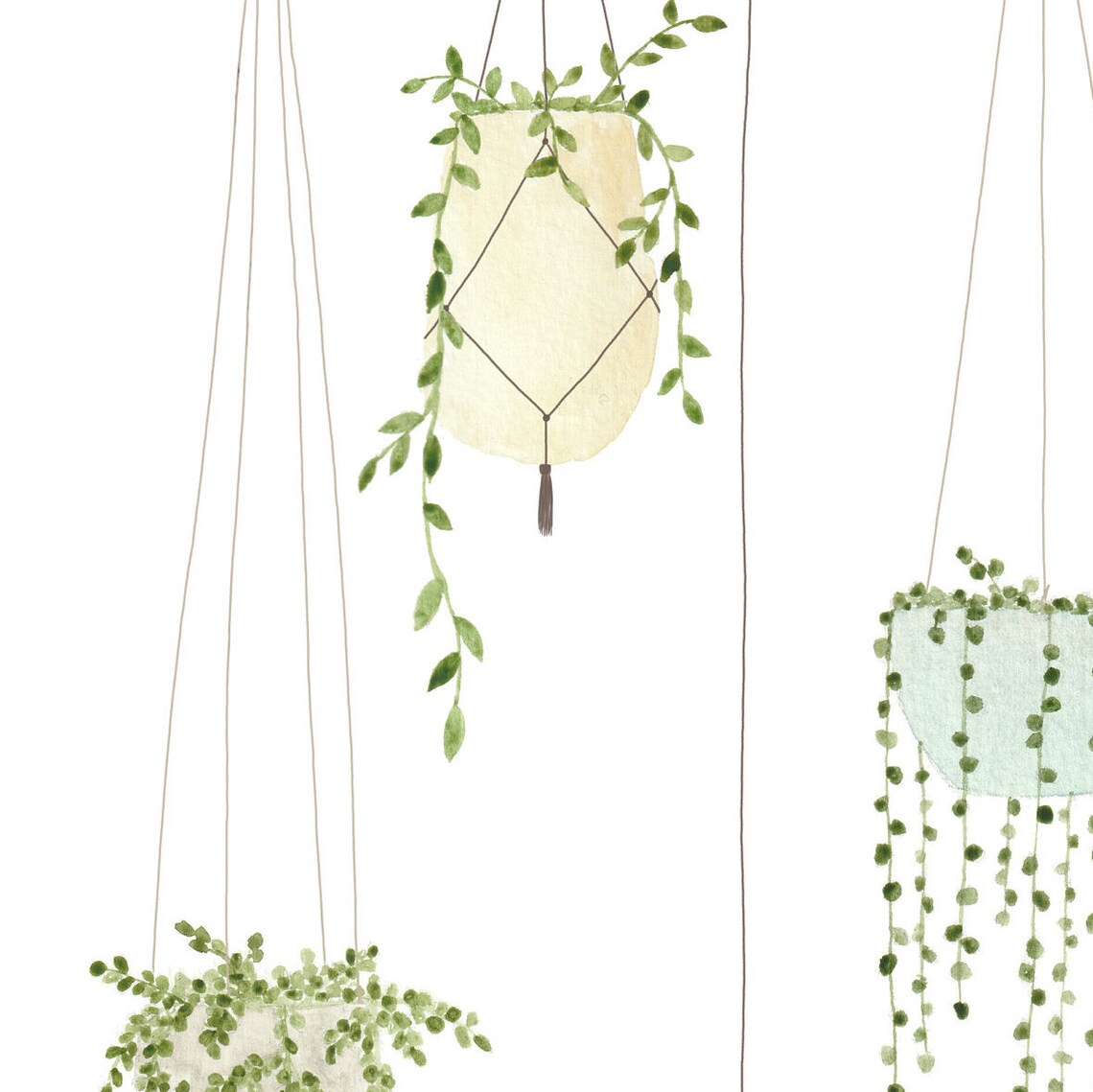 Hanging Plants Water Colour Print Portrait Wall Print Etsy