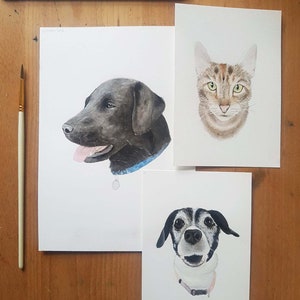 Hand painted watercolour custom pet portrait - HEAD. personalised, bespoke, personalized, original, pet portrait.