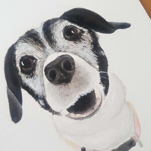 Hand painted watercolour custom pet portrait HEAD. personalised, bespoke, personalized, original, pet portrait. image 5