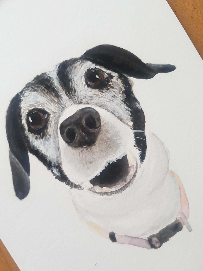 Hand painted watercolour custom pet portrait HEAD. personalised, bespoke, personalized, original, pet portrait. image 5