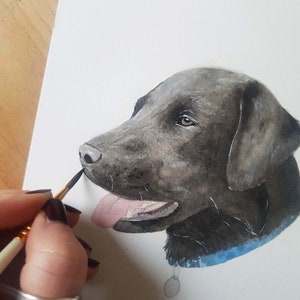 Hand painted watercolour custom pet portrait HEAD. personalised, bespoke, personalized, original, pet portrait. image 3