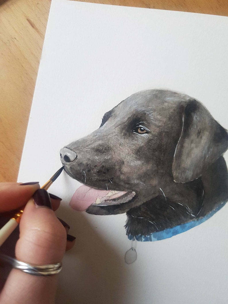 Hand painted watercolour custom pet portrait HEAD. personalised, bespoke, personalized, original, pet portrait. image 3