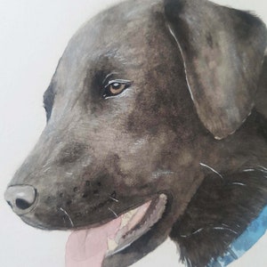 Hand painted watercolour custom pet portrait HEAD. personalised, bespoke, personalized, original, pet portrait. image 6