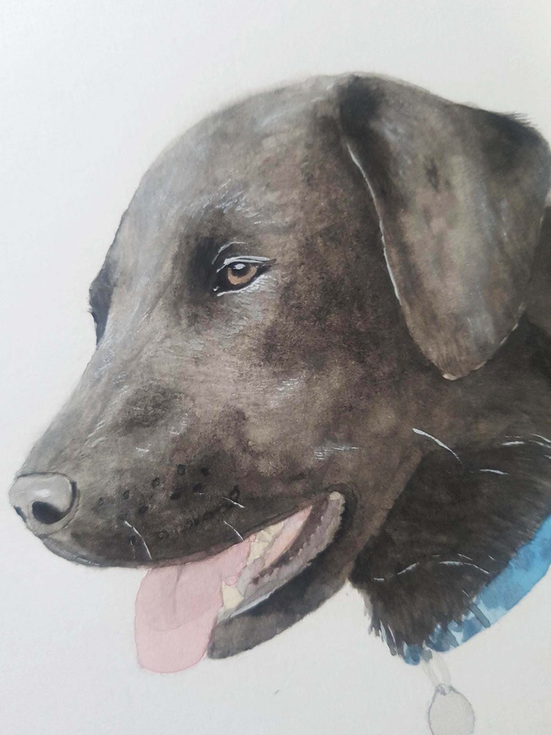 Hand painted watercolour custom pet portrait HEAD. personalised, bespoke, personalized, original, pet portrait. image 6