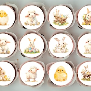 Könnte beinhalten: Zwölf runde Cupcake-Topper mit verschiedenen Illustrationen zum Thema Ostern. Die Topper zeigen ein Küken in einem Ei, ein Lamm, ein Häschen, das Blumen hält, ein Häschen mit Eiern und ein Häschen, das einen Wagen voller Eier zieht.