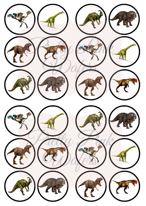 Dinosaurio Stegosaurus 24 Personalizado precortadas Comestible Cupcake Toppers Chicos Fiesta Casa, jardín y bricolaje ST3330200 Dinosaurio Stegosaurus 24 Personalizado precortadas Comestible Cupcake Toppers Chicos Fiesta Casa, jardín y bricolaje ST3330200