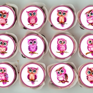 Rosa Eulen essbare Cupcake Toppers - Vogel Thema Kuchendekorationen