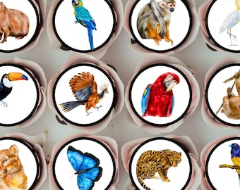 Rainforest Animals Edible Cupcake Toppers - Jungle Theme Cake + Cookie Decorations