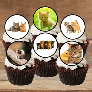 Kittens Edible Cupcake Toppers - Cute Cats Theme Cake Decorations