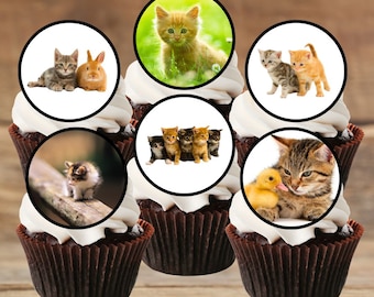 Kittens Edible Cupcake Toppers - Cute Cats Theme Cake Decorations