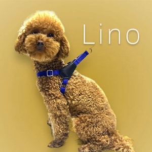 Handmade Adjustable Dog Cat Harness - Durable Cotton  Leather - 10 Colors, 5 Sizes