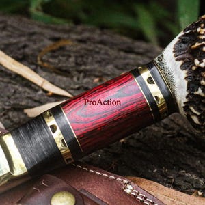 May include: Close-up of a knife handle with a red and black wood grain design, accented with brass and a textured antler tip. The text "ProAction" is visible on the handle. The knife rests on a leather sheath.