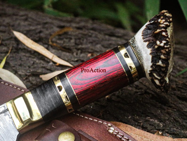 May include: Close-up of a knife handle with a red and black wood grain design, accented with brass and a textured antler tip. The text "ProAction" is visible on the handle. The knife rests on a leather sheath.