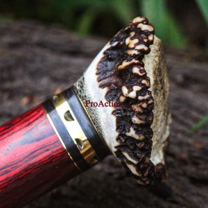 May include: Close-up of a knife handle with a red and black wood grain pattern. The handle is accented with gold-colored metal bands. The end of the handle is made of a textured, light-colored material with dark brown accents. The text "ProAction" is visible.