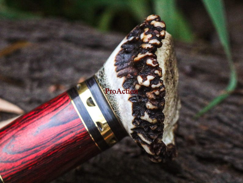 May include: Close-up of a knife handle with a red and black wood grain pattern. The handle is accented with gold-colored metal bands. The end of the handle is made of a textured, light-colored material with dark brown accents. The text "ProAction" is visible.