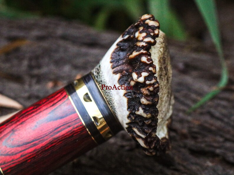 May include: Close-up of a knife handle with a red and black wood grain pattern. The handle is accented with gold-colored metal bands. The end of the handle is made of a textured, light-colored material with dark brown accents.