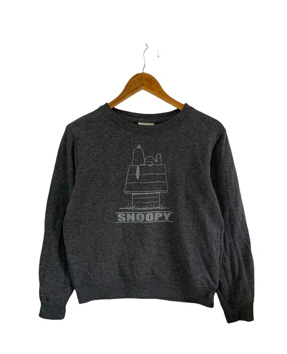 Acheter Sweat-shirt à capuche Skinnydip Peanuts Snoopy Harvest from Next France