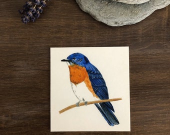 Eastern Bluebird, Watercolor Print