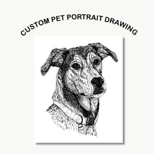 Custom Pet Portrait Drawing