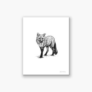 Fox Art Print