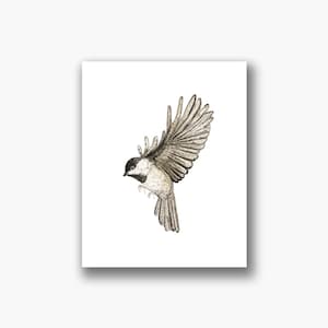Chickadee No. 3 Art Print