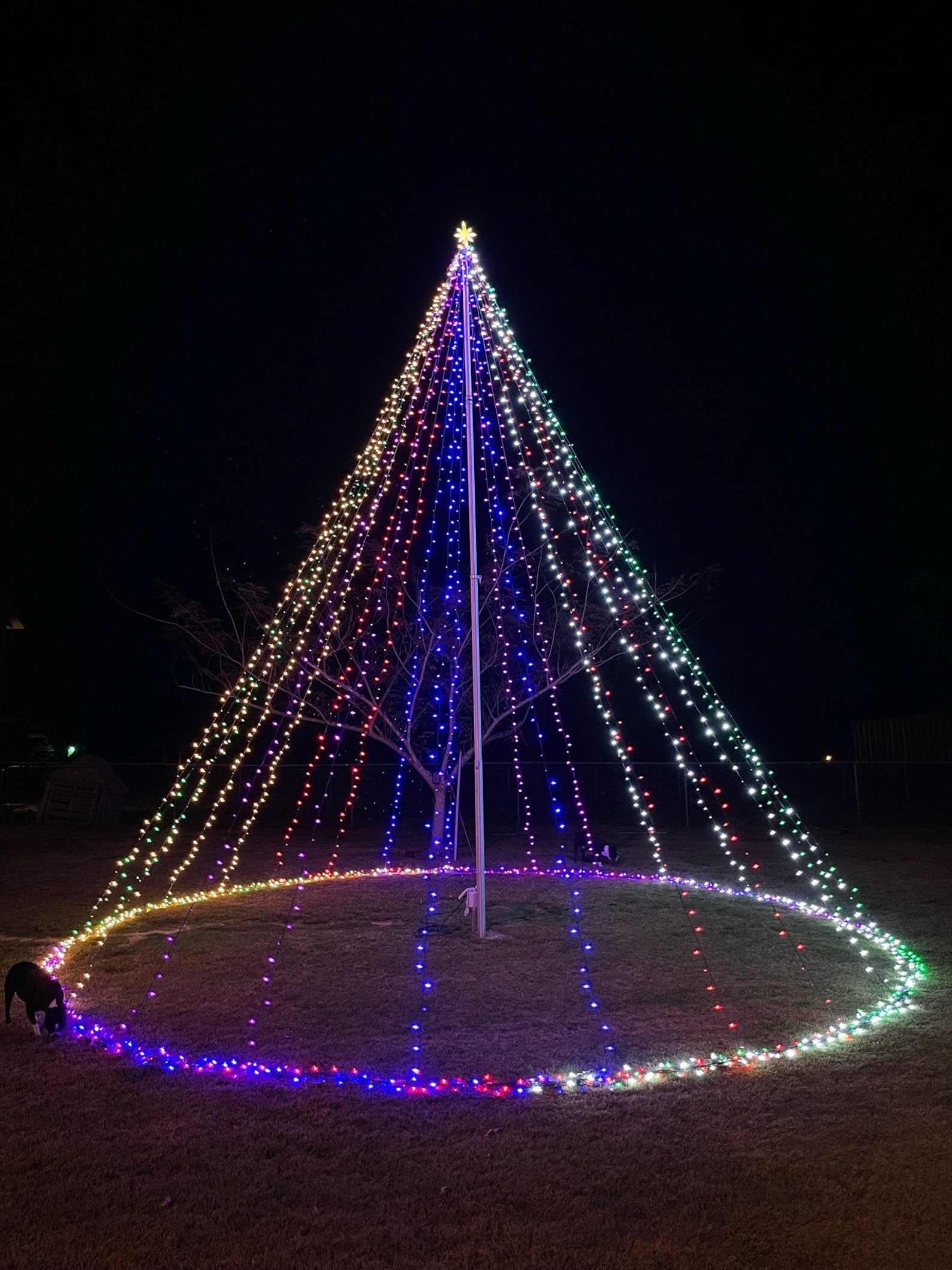 Flagpole Christmas Tree Magic NO Flagpole or Lights Included Etsy