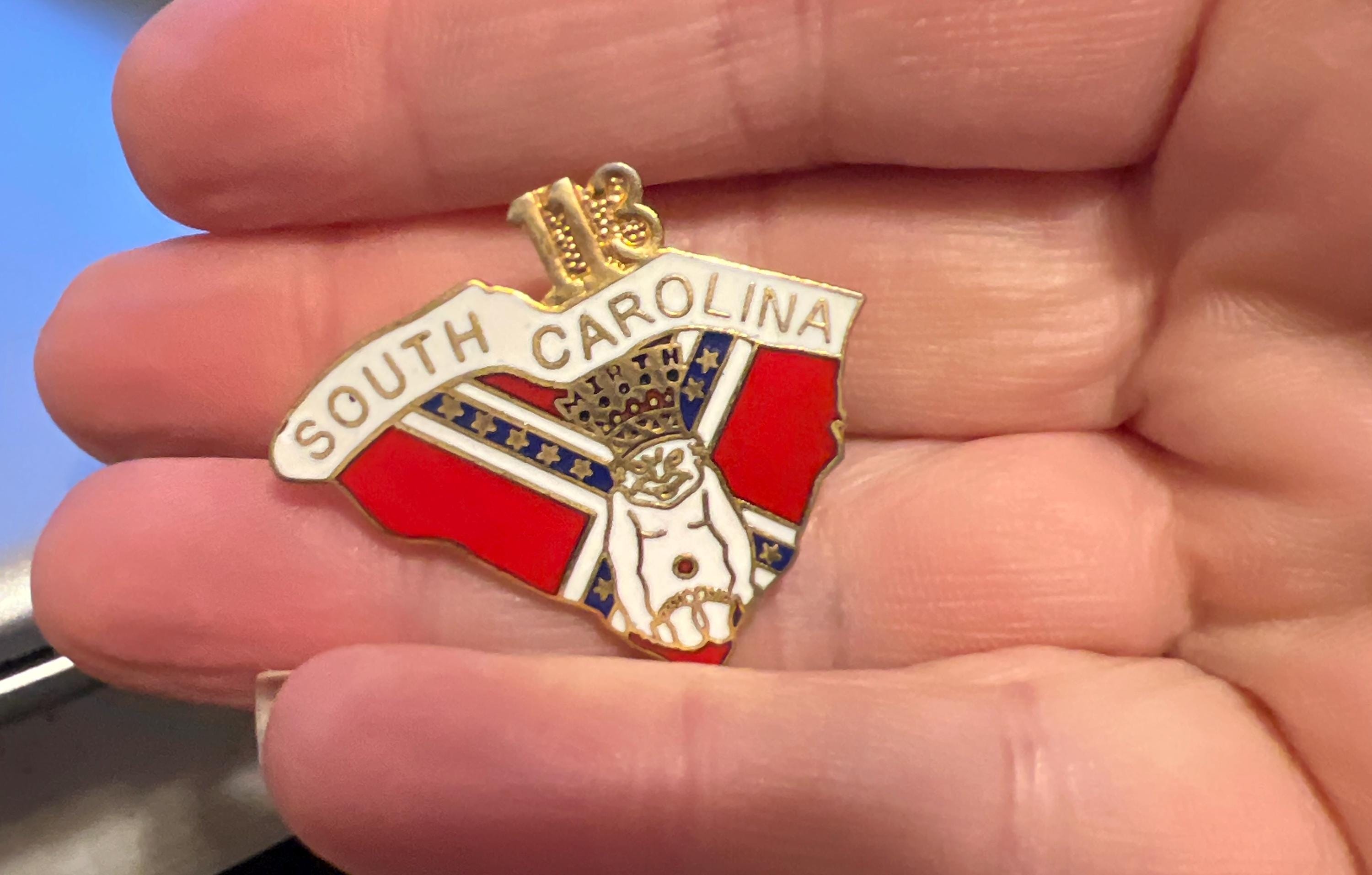 South Carolina jester pin