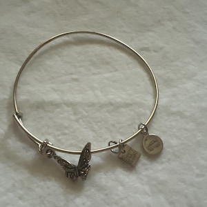 Alex and Ani silver  bangle bracelet