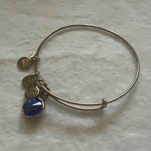 Alex and Ani silver  bangle bracelet