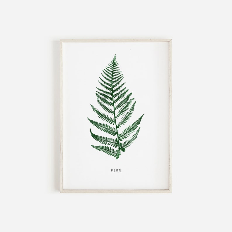 Fern Plant Print in Green Pressed Fern Print Botanical Print Personalised Fern Leaf Print. image 2